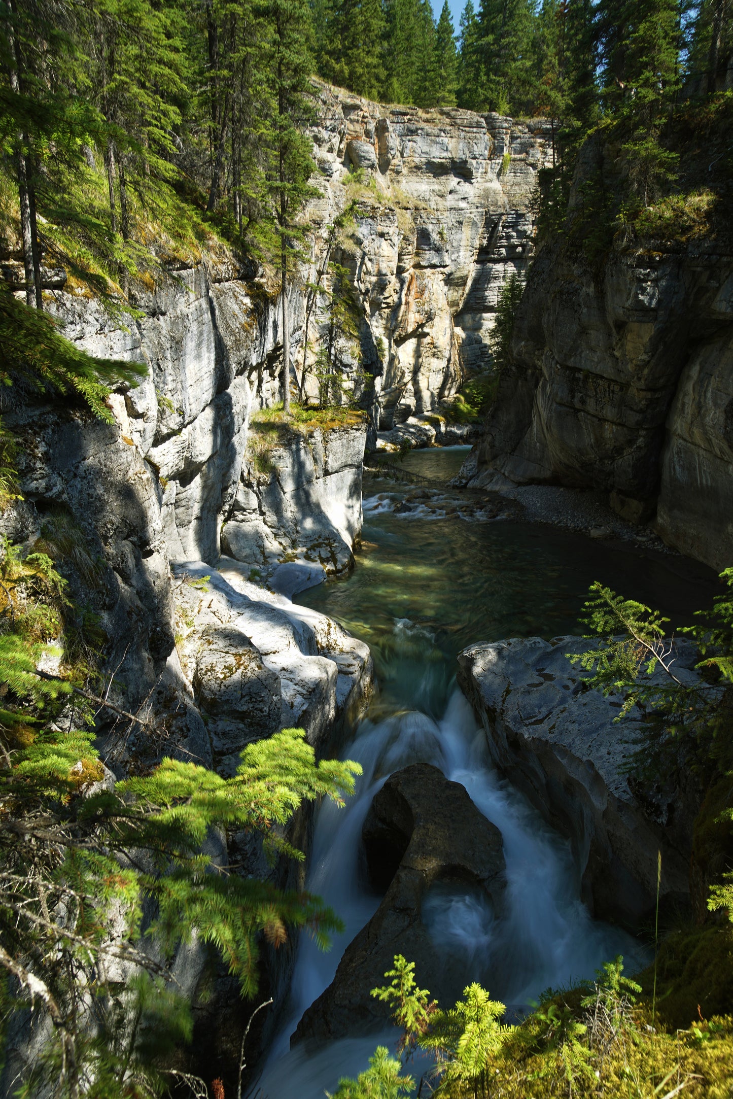 Jasper National Park Alberta Canada