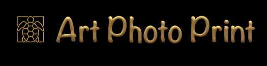 Art Photo Giclee Printing