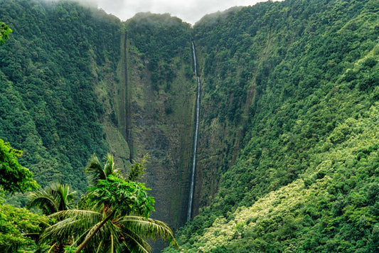 Waterfall Big Island Hawaii